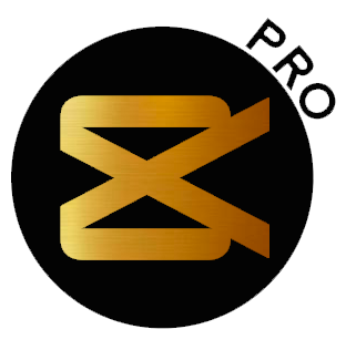 x6
